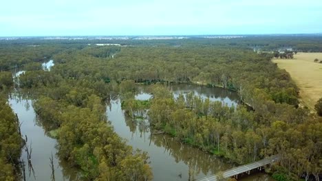 Drone-footage-of-the-Murray-Valley-Highway-bridge-over-the-Ovens-River-and-eucalypt-floodplains-where-it-joins-the-Murray-River-near-Bundalong,-Victoria,-Australia