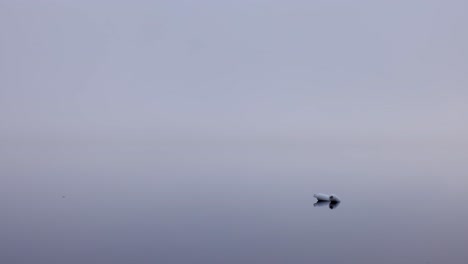 Foggy-morning-on-the-lake-with-the-shore-seen-in-the-distance