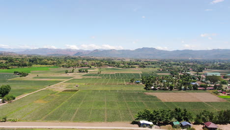 Aerial-view-of-green-wide-field,-houses,-trees-and-mountain-with-clear-sky-during-daytime-in-4K-quality