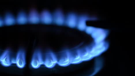 Gas-burning-from-a-kitchen-gas-stove-slow-motion