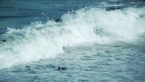 Floß-Afrikanischer-Pinguine-Am-Felsstrand-Mit-Plätschernden-Wellen