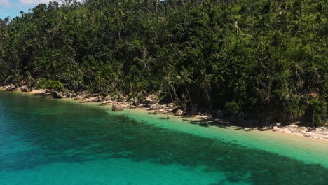 Kokospalmen-Entlang-Der-Küste-Der-Insel-Im-Sommer-Auf-Den-Philippinen
