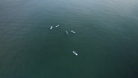 Stand-Up-Paddle-Boarding,-Aerial-Top-Down-View-of-Summer-Water-Sport,-Group-of-Five-Surfers-Floating-on-Water-Sea,-Up-and-Paddling-on-Surf-Board,-Outdoor-Activity-Exercise-and-Adventure