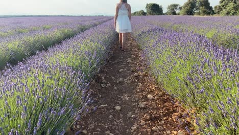Woman-enjoying-spare-time-in-the-countryside-in-a-french-lavender-field