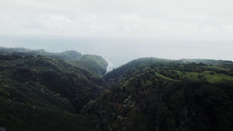 Green-valley-in-Hawaii-with-drone-flying-towards-the-ocean