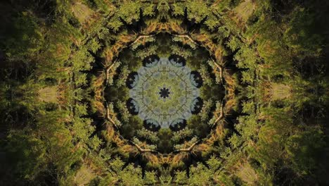 Kaleidoskop-Geometrisch-Animiertes-Muster-Abstrakt-Natur