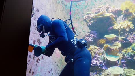 Diver-cleaning-a-large-aquarium-S