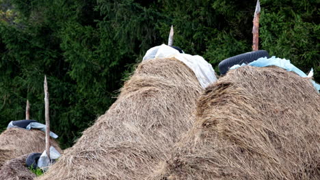 haystack-in-the-wind---Romania