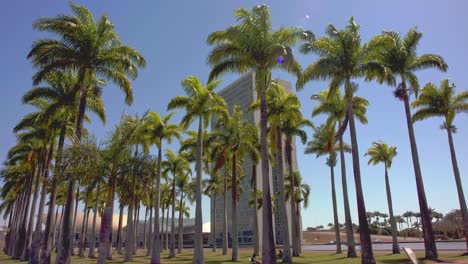 Die-Nationalen-Kongressgebäude-Türme-Von-Brasilien-Hinter-Palmen---Einspielung
