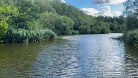 Summer-riverbank-panning-shot-of-Silksworth-Lake-in-Sunderland,-UK