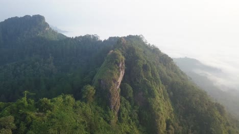 Luftdrohnenansicht-Des-Waldes-Und-Der-Spitze-Des-Menoreh-hügels,-Magelang,-Indonesien