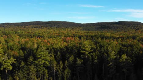 Aerial-drone-shot-pulling-back-and-rising-up-over-autumn-color-trees-in-the-forest-as-summer-ends-and-the-season-changes-to-fall-in-Maine