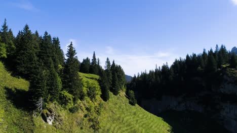 Fliegen-Ganz-Nah-über-Kiefern-In-Einer-Berglandschaft-In-Den-Schweizer-Alpen