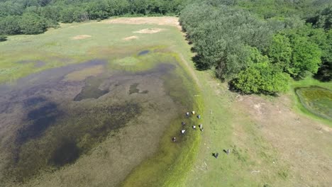 Aerial-footage-of-forest,-pond-and-a-small-group-of-refugees