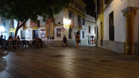 Crowded-pedestrian-street-in-the-old-town-of-Córdoba,-Spain,-during-a-summer-night