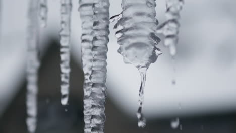 Close-up-of-water-dripping-off-icicles-in-slow-motion