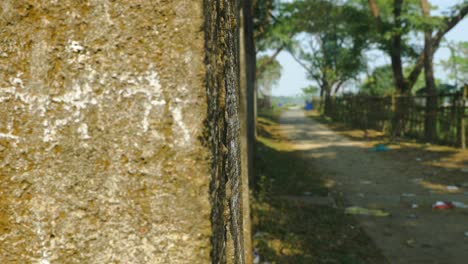 Village-wall-in-Sylhet,-Bangladesh