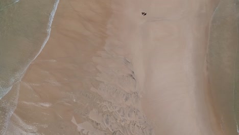 Aerial-of-couple-walking-on-the-beach