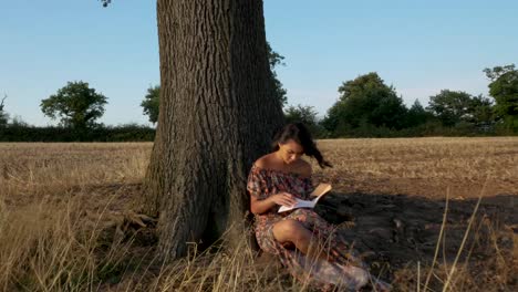Wide-shot-of-a-young-woman-leaning-up-against-a-tree-and-reading-in-the-setting-sun