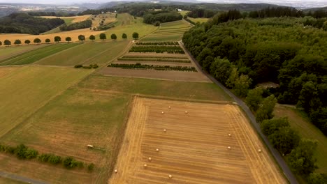 Drone-flight-above-agricultural-landscape