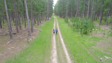Two-people-walking-along-trail-between-tall-pine-trees-in-a-forrest