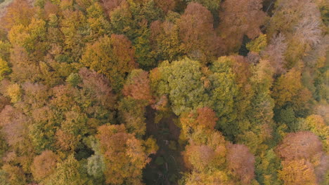 Aerial,-small-clearing-of-land-in-the-middle-of-the-autumn-woods-of-the-Balkans