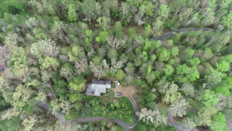 Baumwipfel-Luftaufnahme-Des-Waldes-In-Tennessee