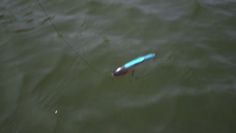 Fishing-lure-in-the-water