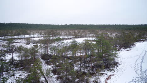 View-of-Viru-bog-from-Observation-tower-in-winter