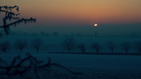 Sunset-time-lapse-on-a-snowy-landscape-with-fields-and-trees,-a-few-branches-are-in-the-foreground,-camera-is-static