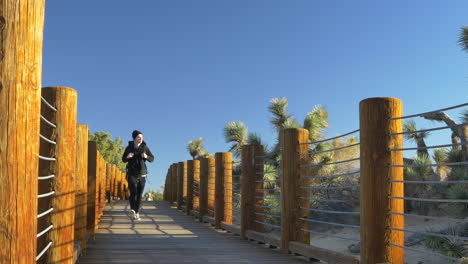 A-young-white-man-hiker-with-a-backpack-hiking-along-a-wooden-bridge-through-a-desert-nature-preserve-with-Joshua-Trees-under-blue-skies-in-Lancaster,-California