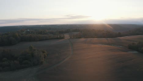 Maisfeld-Bei-Sonnenuntergang