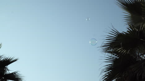 Burbujas-Flotantes-Entre-árboles-Con-Cielo-Despejado