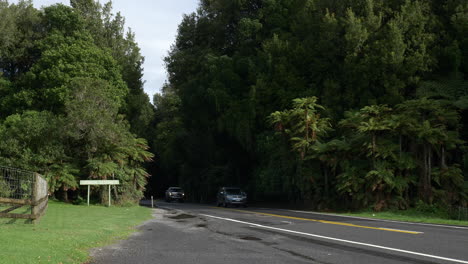 Cars-driving-through-Fitzgerald-glade-on-the-way-to-Rotorua