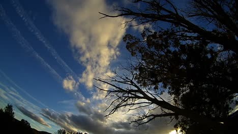 Dies-Ist-Ein-Himmelszeitraffer-In-Arizona-Mit-Baumsilhouetten