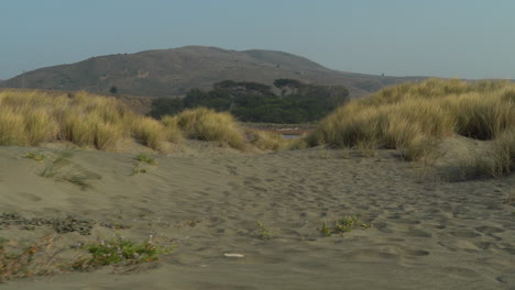 Sonoma-County-Beach-Sand-Dunes-in-Northern-California
