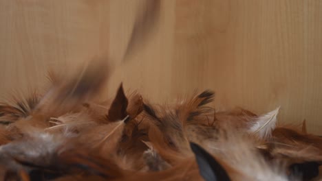 Minimal-background-with-soft-and-fluffy-white,-brown-and-black-feathers-falling,-on-a-light-wooden-background