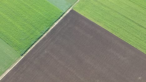 Aerial-view-of-farming-paddocks-with-green-crops-growing