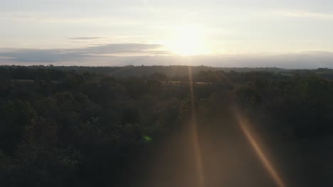 Drone-shot-flying-over-trees