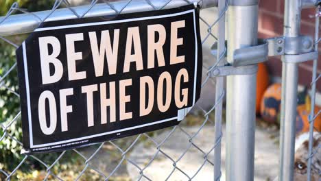 Generic-Beware-Of-Dog-sign-on-chainlink-fence,-with-brown-and-white-dog-in-the-background