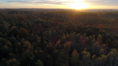 AERIAL:-Tilting-up-towards-the-horizon-were-the-sun-sets-over-a-forest-in-the-fall