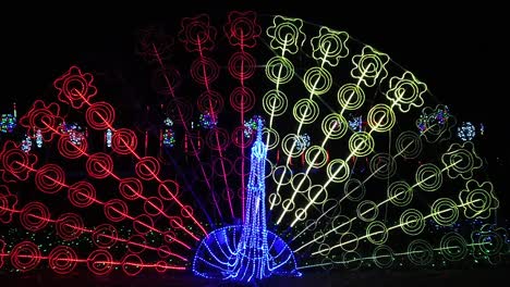 LED-Lighting-Festival-In-the-Park---Peacock-Feather-Slow-Mo