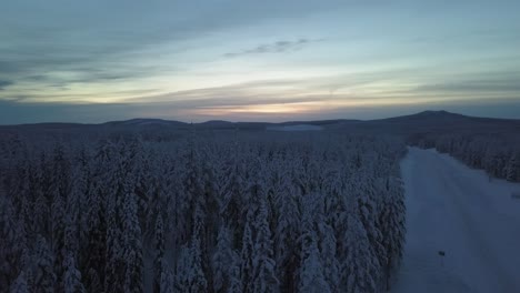 Die-Gefrorene-Winterlandschaft-Mit-Einer-Straße-Von-Hanhimaa-In-Finnland