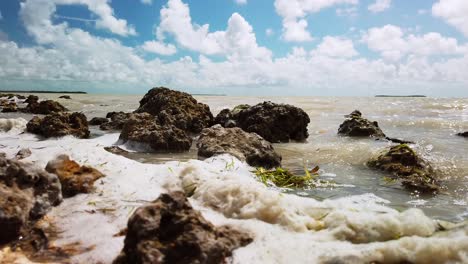 Close-up-of-sea-foam-in-the-lake-of-the-everglades,-covering-the-shore-and-rocks