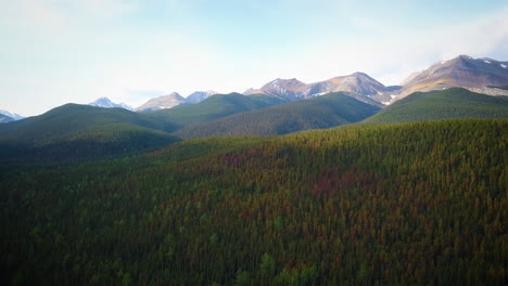 Sprawling-forests-in-the-rocky-mountain-wilderness