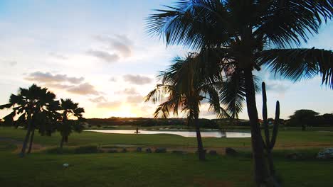 Palm-trees-gently-swaying-in-the-breeze-at-an-empty-golf-course-in-Curacao,-Caribbean,-at-sunset