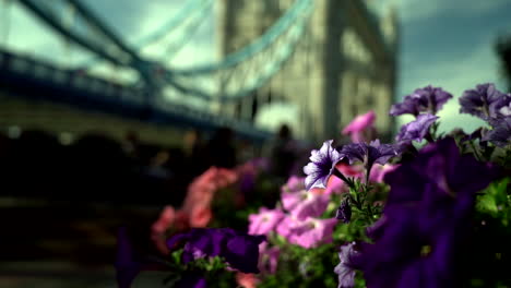 Bunte-Blumen-Bewegen-Sich-Im-Wind-Mit-Der-Londoner-Tower-Bridge-In-Einem-Verschwommenen-Hintergrund