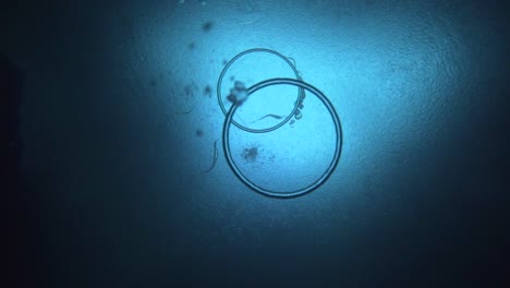 camera-films-a-rising-bubble-ring-from-below-as-it-descends-to-the-surface