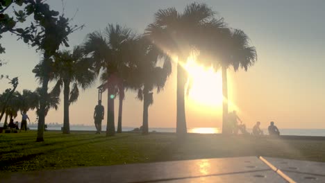 Time-Lapse-of-Palm-tree-and-Park-Bench-near-the-beach
