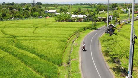 Luftaufnahme-Eines-Paares,-Das-An-Einem-Hellen,-Sonnigen-Sommertag-Auf-Einer-Kurvenreichen-Straße-In-Canggu-Bali,-Indonesien,-Ein-Motorrad-Fährt